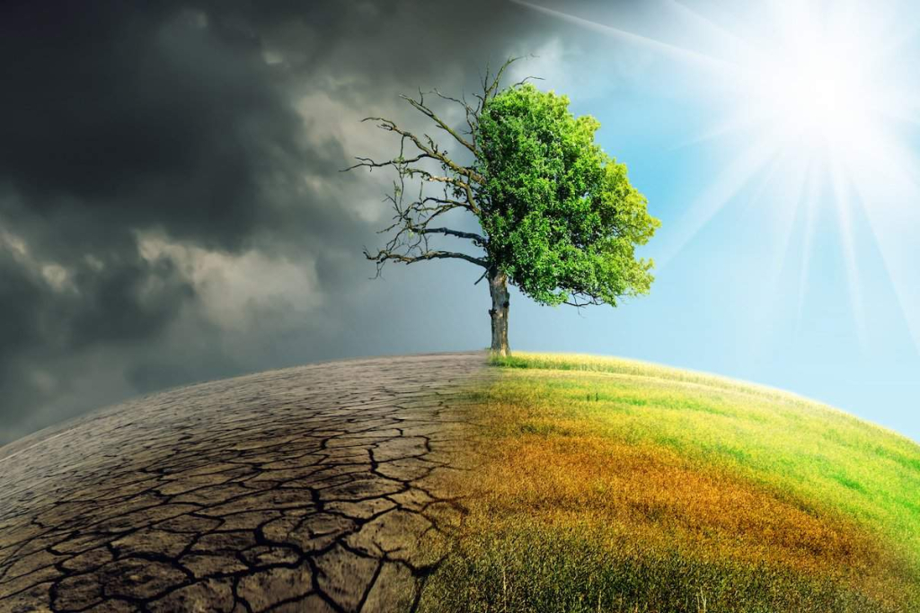 climate change and its effects on the environment and global warming.